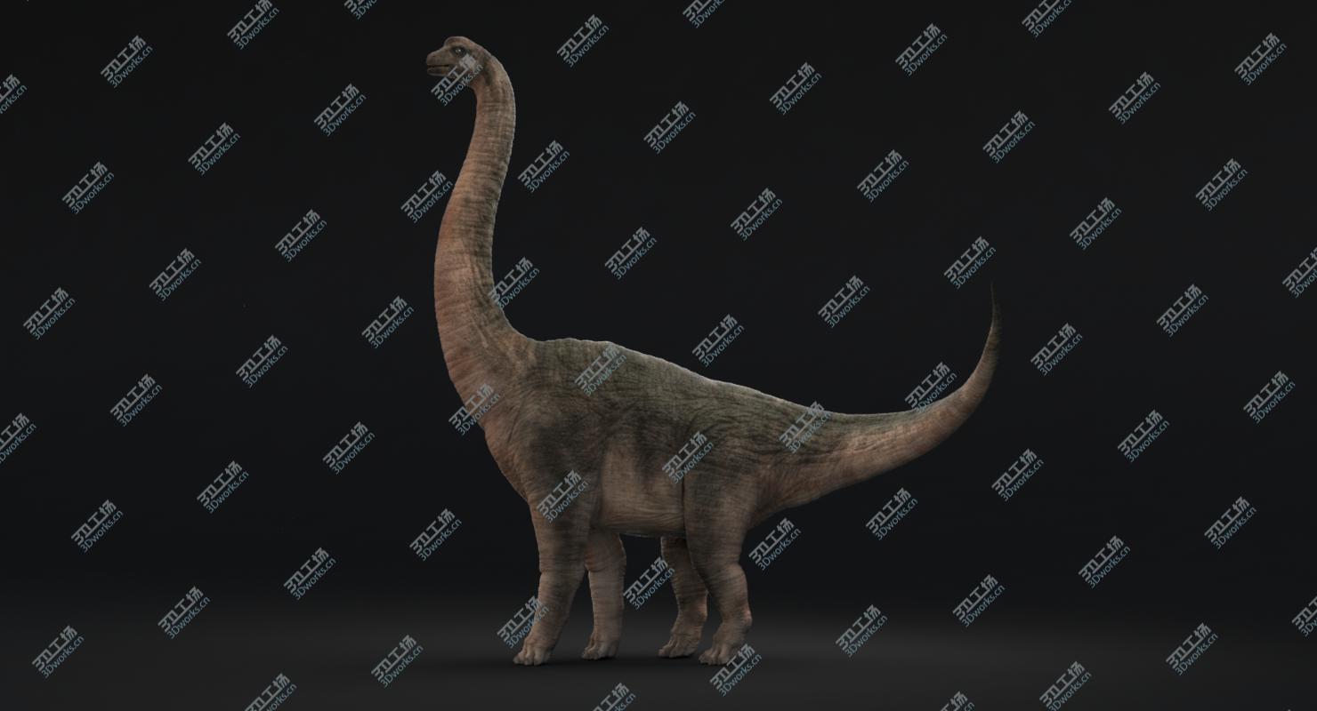 images/goods_img/2021040233/Brachiosaurus Rigged/3.jpg